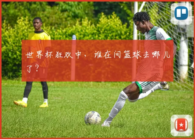 世界杯狂欢中,谁在问篮球去哪儿了?