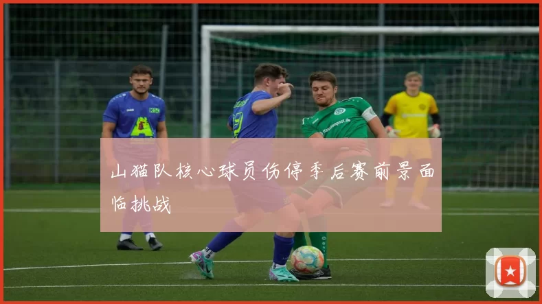 山猫队核心球员伤停季后赛前景面临挑战