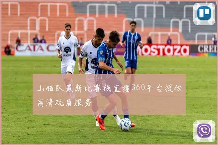 山猫队最新比赛线直播360平台提供高清观看服务